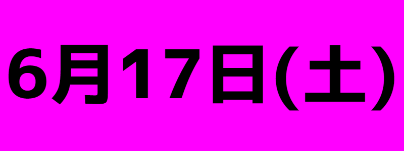 /taikai0617.png