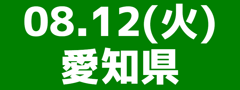08月12日(火)第12回スポーツウエルネス吹矢愛知県大会